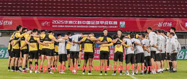 完美体育app-近十年西甲积分榜排名变化与强队稳定性对比