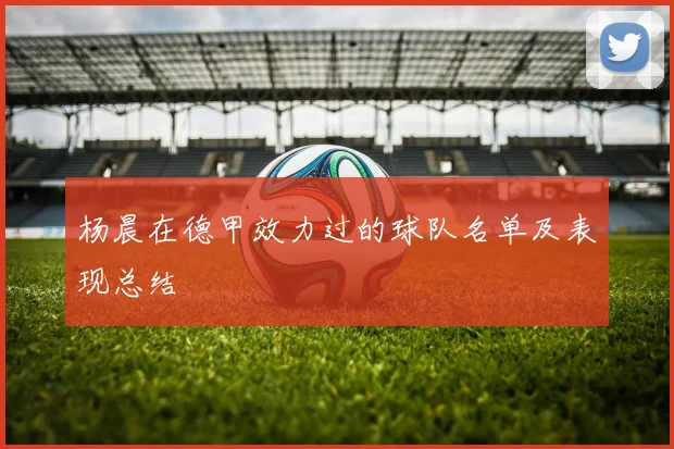 杨晨在德甲效力过的球队名单及表现总结