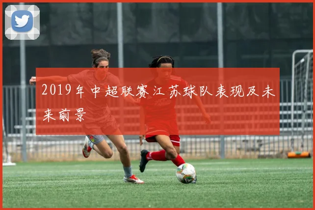 2019年中超联赛江苏球队表现及未来前景