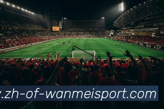 完美体育APP 高清赛事图